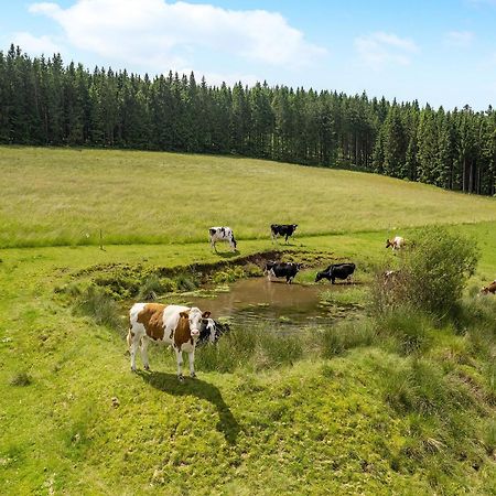 Ferienwohnung Duffner Schonach im Schwarzwald Eksteriør bilde