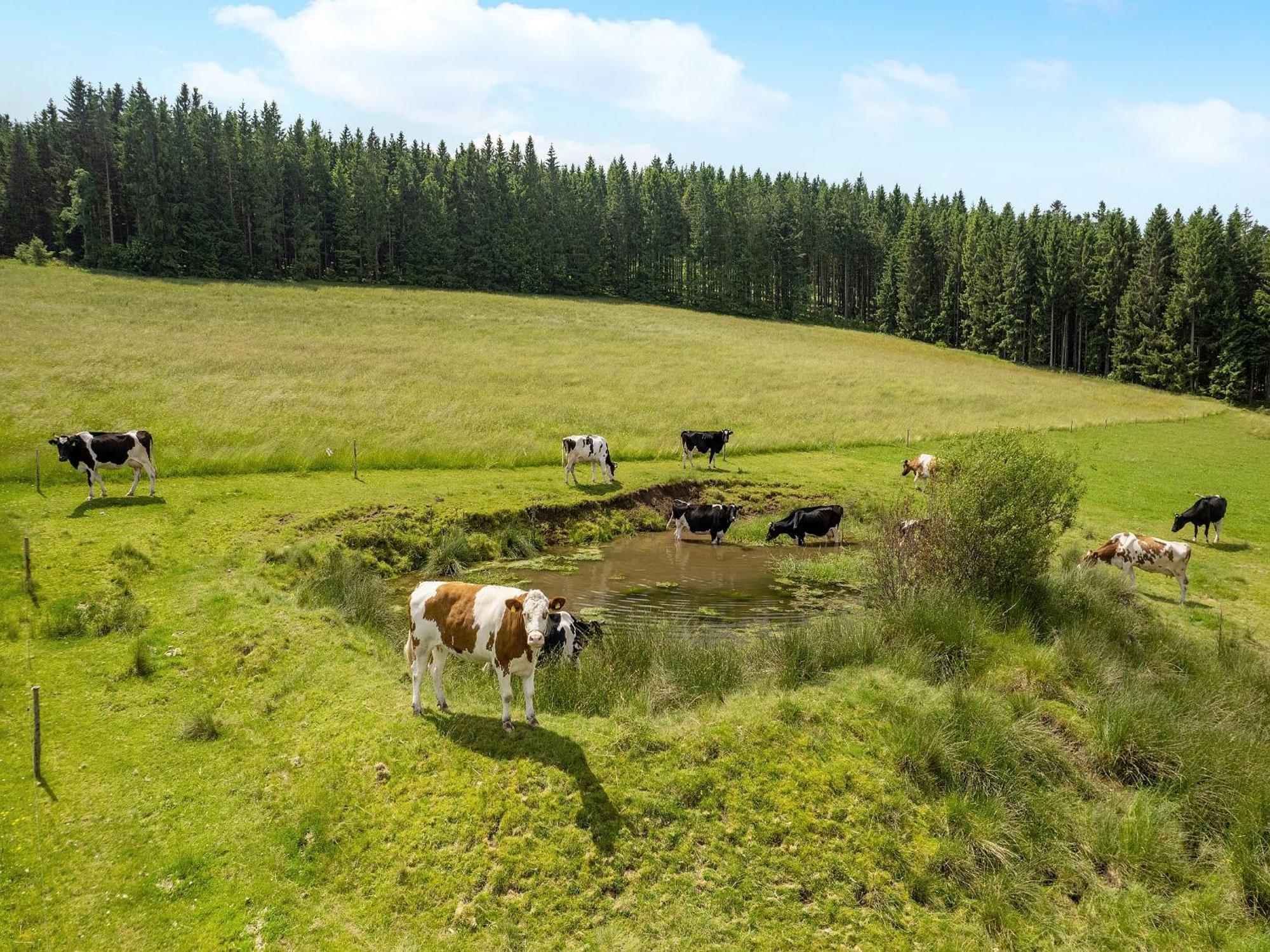Ferienwohnung Duffner Schonach im Schwarzwald Eksteriør bilde
