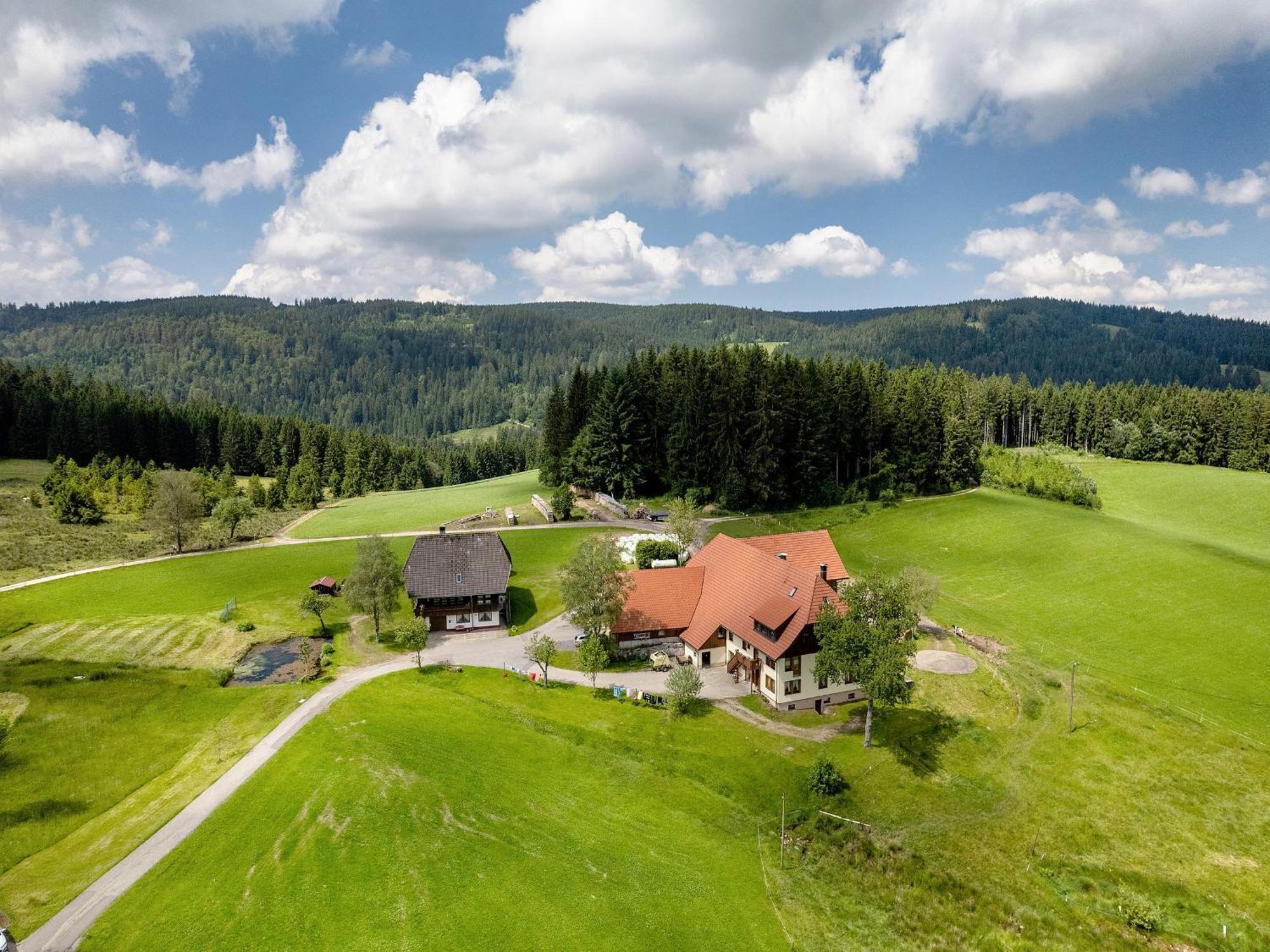 Ferienwohnung Duffner Schonach im Schwarzwald Eksteriør bilde